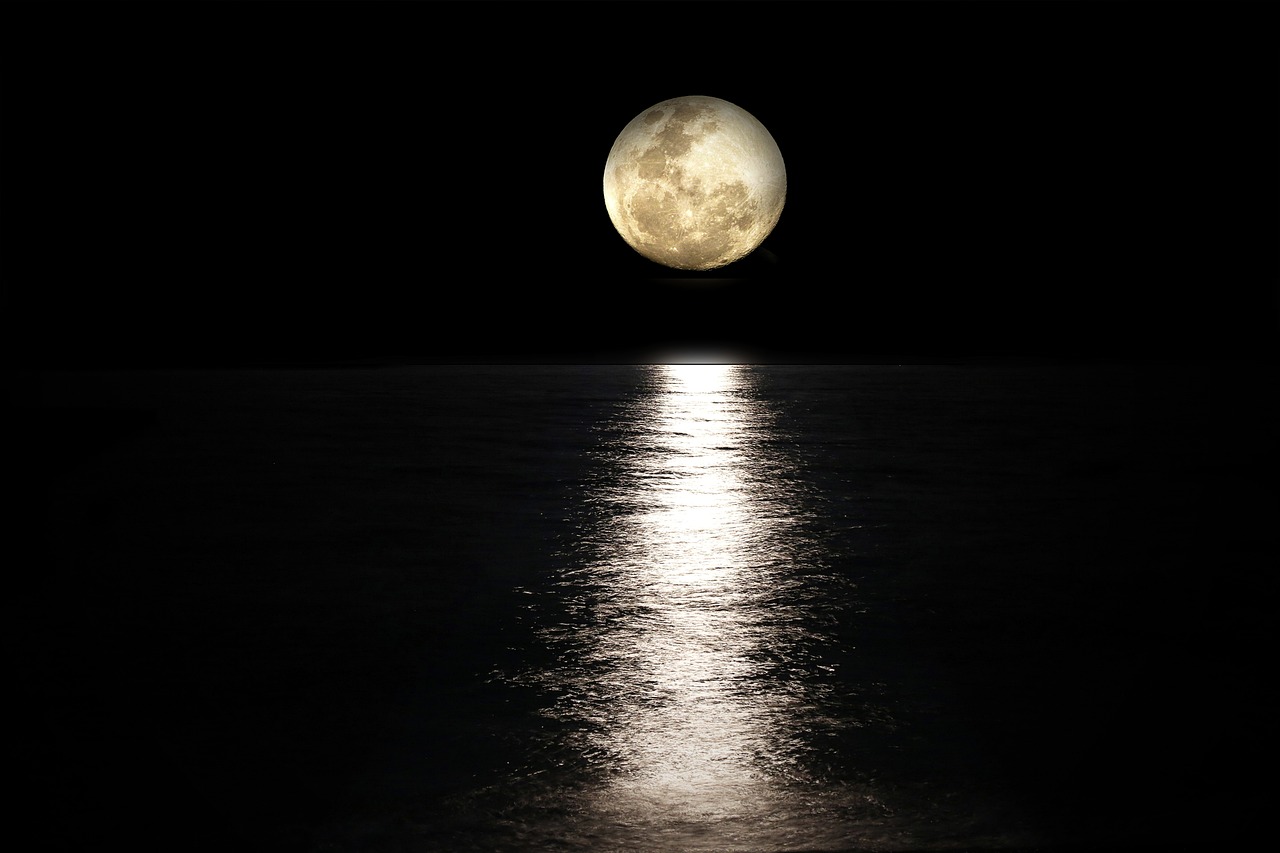 Visibility and Safety: Risks of Nighttime Activities